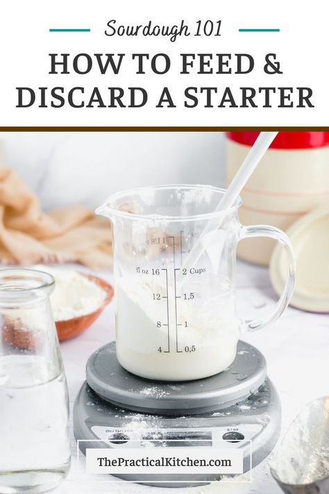 How to feed your sourdough starter to keep it happy, healthy and mold-free. Repeat this process every time you feed your starter, whether you’re feeding it daily, weekly, or monthly. If you’re planning on using it to make bread, feed it a few days in a row to make sure it’s nice and strong. Use the discard to make scallion pancakes. Best Sourdough Starter Recipe, Homemade Sourdough Bread Recipes, Gluten Free Sourdough Starter, King Arthur Flour Recipes, Dough Starter, Sourdough Bread Starter, Scallion Pancakes, Gluten Free Sourdough, Homemade Sourdough Bread