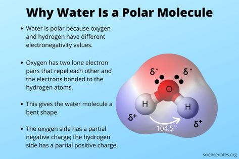 Why Is Water a Polar Molecule? Molecular Geometry, Environmental Chemistry, Ionic Bonding, Draw Water, A Level Biology, Ap Chemistry, Dress Sketch, Chemical Bond, Covalent Bonding