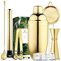 Cocktail Mixer Set, Gold Martini, Fancy Bar, Japanese Cocktails, Home Bar Essentials, Bartender Tools, Martini Set, Cocktail Mixer, Martini Shaker