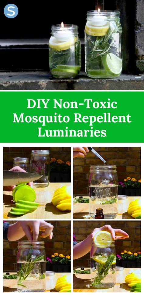 Repel mosquitos and bugs with these easy DIY mosquito repellent luminaries! http://www.simplemost.com/diy-non-toxic-mosquito-bug-repellant-luminaries/?utm_campaign=social-account&utm_source=pinterest.com&utm_medium=organic&utm_content=pin-description Homemade Mosquito Repellent, Diy Mosquito Repellent, Insect Spray, Mosquito Repelling Plants, Mason Jar Crafts Diy, Bug Repellent, Mosquito Repellent, Insect Repellent, Mason Jar Diy