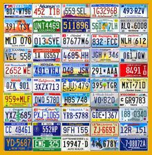 SET OF USA LICENSE PLATES FROM ALL 50 STATES - Stu's Room License Plate Crafts, Licence Plates, State Crafts, License Plate Art, License Plate Sign, Lake Signs, Sign Materials, Plate Crafts, Lots For Sale