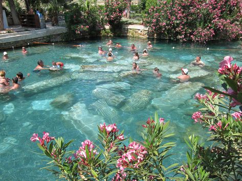 Ancient Thermal Pool Pamukkale Turkey | Swimming with columns from the Temple of Apollo in the Hierapolis ... Roman Pool, Temple Of Apollo, Thermal Pool, Outdoor Aesthetic, Pond Design, Thermal Spring, Swimming Holes, Ancient City, Dream Holiday