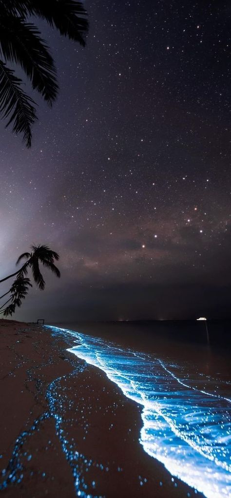 Maldives Sea Of Stars Night, Cute Night Time Wallpapers, Ocean With Stars, Star Of The Sea Aesthetic, Pretty Wallpapers Backgrounds Blue, Night Sea Wallpaper, Beach At Night Wallpaper, Moody Beach Aesthetic, Glowing Beaches