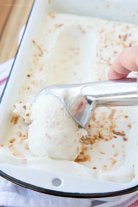 The Baker Upstairs: 9 Fantastic Father's Day Menus Toasted Coconut Recipes, Easy Frozen Yogurt, Churn Ice Cream, Frozen Yogurt Recipes, Ice Cream Mixture, Coconut Ice, Coconut Ice Cream, Flavor Ice, No Churn Ice Cream