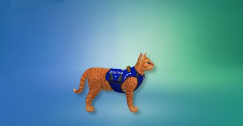 Sims 4 Cat, Ts4 Mod, Service Cat, Kitty Games, Cat Harness, Cc Sims, Service Animal, Electronic Art, Sims 4 Mods