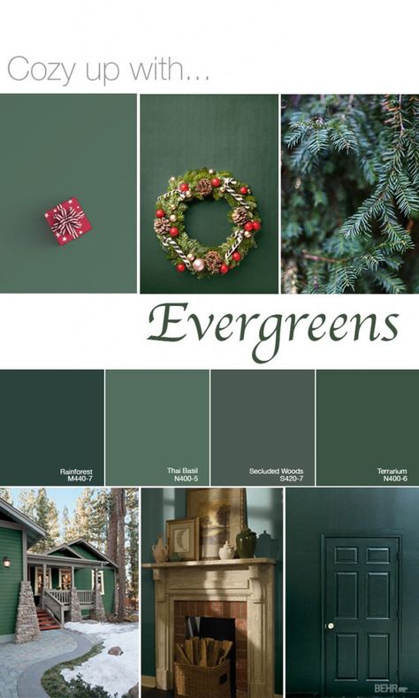 Color of the Month: In the Moment - Colorfully BEHR Pine Grove Paint, Forest Green Behr Paint, Emerald Green Behr Paint, Green Behr Paint Colors Bedroom, Green Painted Walls Behr, Green Agate Behr Paint, Behr Emerald Green Paint Colors, Secluded Woods Behr Paint, Evergreen Paint Color