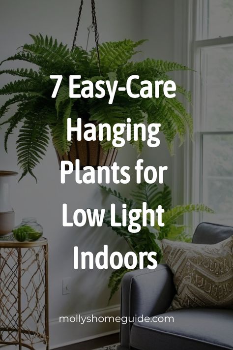 Discover a variety of indoor hanging plants perfect for low light conditions. From easy-care options to hard-to-kill varieties, there's a plant for every space in your home lacking sunlight. Whether you're looking to add life to a bathroom with no windows or simply wanting to brighten up a dim corner, these low light houseplants are sure to thrive and add some greenery to your indoor decor. Explore the best hanging indoor plants for low light and find the perfect addition for your space today! Hanging Plants Indoor Bathroom, Plants For Low Light Indoors, Hanging Plants Indoor Window, Plants In Window Ideas, Indoor Plants For Low Light, Bathroom With No Windows, Low Light Houseplants, Plants For Low Light, Indoor Hanging Plants