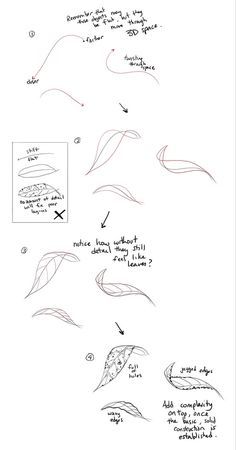 Drawing Leaves Step By Step, Leaf Drawings, Leaf Sketch, Drawing Leaves, Leaves Sketch, Scroll Art, Vfx Tutorial, Texture Drawing, Drawing Lesson