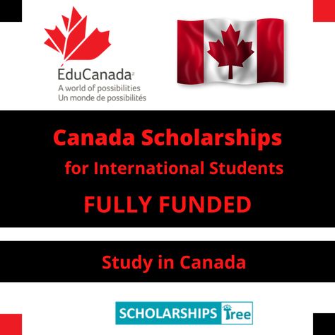 ASEAN Canada Scholarships for International Students Canada Scholarships, Canadian Scholarships, Business Proposal Letter, Scholarships For International Students, Scholarships For College Students, Graduate Scholarships, Undergraduate Scholarships, Proposal Letter, Study In Canada