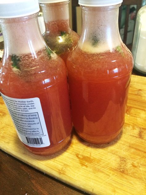 Kombucha Health Benefits, Pineapple Basil, Best Kombucha, Insoluble Fiber, Kombucha Flavors, Lower Carb Meals, Kombucha Recipe, Strawberry Basil, Strawberry Juice