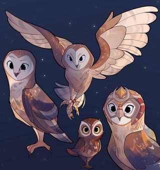 owls at the met • Instagram How To Draw Owls, How To Draw Owl, Barn Owl Drawing, Owl Drawings, Owl Character, Guardians Of Ga'hoole, Barn Owl Art, Battle Cats, Owl Drawing