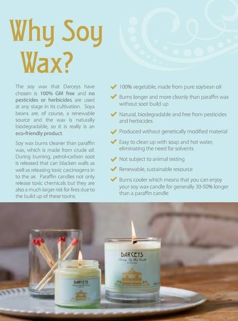 Why Soy Wax? Soy Candle Facts, Diy Soy Candles Scented, Candle Facts, Essential Oil Candle Recipes, Candle Care Instructions, Lilin Aroma, Candle Scents Recipes, Candle Making Recipes, Creation Bougie