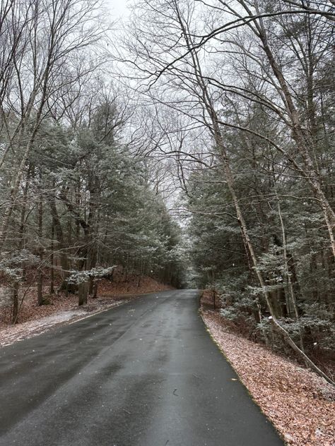 New England Suburbs, Northern Attitude Aesthetic, New England Winter Aesthetic, New England Gothic Aesthetic, New England Fall Aesthetic, First Snow Aesthetic, Stick Season Aesthetic, New England Gothic, Winter New England