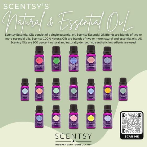 Scentsy’s Natural & Essential Oils: pure and natural fragrance to enhance your state of mind. For more information, or to place an order, please scan the QR code or use the hyperlink. When ordering, please use the open/active party from the dropdown. Questions, please feel free to message us. https://mebandgeo.scentsy.us/shop/c/9815/essential-oil-diffusers #scentsy #scentsylife #scentsyaddict #ScentsyLife #scentsyfragrance #scentsy #oil #scentsyoil #scentsyoils #scentsyoildiffusers #scent... Scentsy Essential Oils, Scentsy Diffuser, Scentsy Oils, Scent Warmers, Scentsy Wax Bars, Scentsy Scent, Scentsy Fragrance, Fabric Spray, Oil Shop