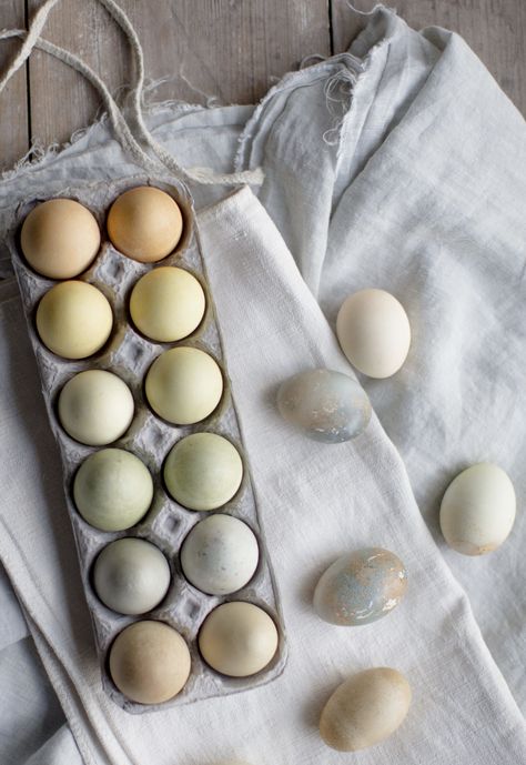 Natural Tea Dyed Easter Eggs - Say Yes Dyeing Eggs, Dyed Easter Eggs, Dyed Eggs, Blueberry Tea, Natural Tea, Egg Dye, Easter Egg Dye, Easter Inspiration, Easter Eggs Diy