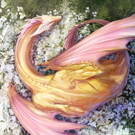 Started with a vision of an after-battle Sunfyre, but my love for this majestic dragon led me down a different path 🥹 Instead of a scene of destruction, I decided to show a sleeping Sunfyre in a field of flowers 🌸. Sometimes, the emotions we feel for our art guide us in unexpected directions. 3h sketch / procreate . . . . . #smaugust #smaugust2024 #sidhesmaugust2024 #dragonart #sunfyre #fantasyart #hotd #artofinstagram #dragonlovers #fantasyillustration #artisticjourney #fanart #dailysketch ... Pretty Dragon Art, Orange Dragon Art, Captured Dragon, Silver Dragon Art, Morning Dragon, Dragons In Love, Volcano Dragon, Pretty Dragon, Dragons Wallpaper