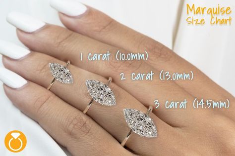 Find the Perfect Diamond for You! Size Matters! Some People Like them Large.. Some Like them Smaller. We Have All Diamond Sizes, Find Your Match Today! Diamond Carat Size Chart, Vintage Inspired Diamond Rings, Carat Size Chart, Diamond Carat Size, Find Your Match, Diamond Size Chart, Size Matters, Gold Signet Ring, Diamond Carat