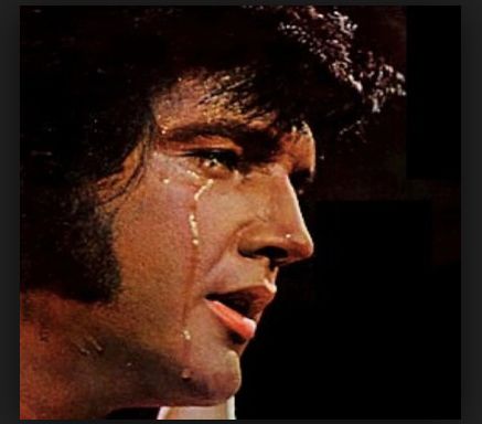 When Elvis Presley Crying Photos – Elvis Presley Elvis Presley Songs Lyrics, Elvis Presley's Birthday, Elvis Presley Facts, Elvis Presley Quotes, Elvis Presley Christmas, Elvis And Me, Elvis Presley Songs, Elvis Presley Memories, Elvis Presley Videos