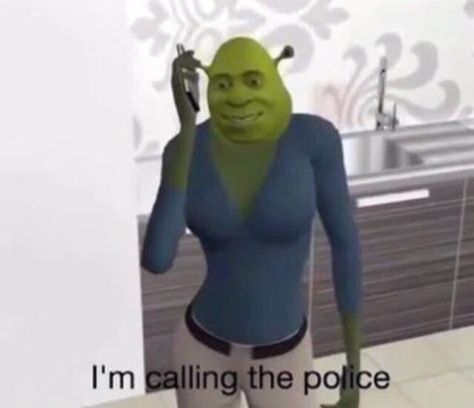 shrek "i'm calling the police" on We ... I'm Calling The Police, Calling The Police, Shrek, Books Wattpad, Wattpad, Books