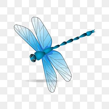 Dragonfly Clipart, Halo Backgrounds, Dragonfly Illustration, Dragonfly Drawing, Lens Flare Effect, Dragonfly Photos, Dragonfly Tattoo Design, Watercolor Dragonfly, Dragonfly Insect