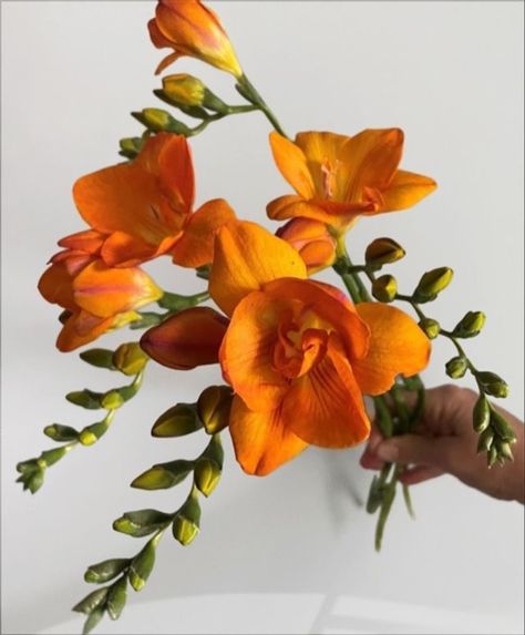 Freesia Flower Bouquet, Orange Freesia, Freesia Bouquet, Flower List, Freesia Flower, Freesia Flowers, Thanksgiving Flowers, Orange Wedding Flowers, Yellow Bouquets