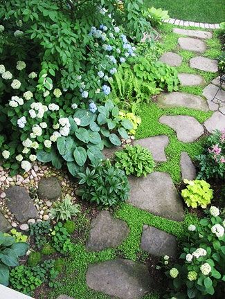 Garden Walkway, Stone Path, Landscape Garden, Have Inspiration, The Secret Garden, Garden Pathway, Plants And Flowers, Gorgeous Gardens, Flowers Plants