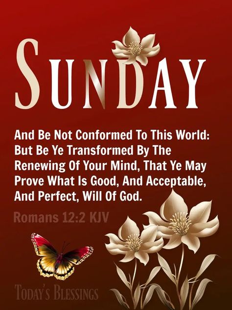 Sunday Blessings Scriptures, Sunday Blessings Inspiration Scriptures, Sunday Blessings Inspiration, Sister Bond Quotes, Sister Bond, Sunday Prayer, Bond Quotes, Sunday Blessings, Sunday Love