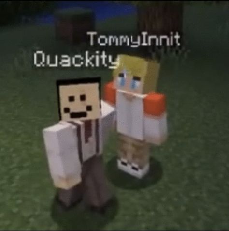 Calamity Duo Dsmp, Calamity Duo Fanart, Tommy And Quackity Fanart, Calamity Duo, Quackity And Tommy, Tommyinnit Fanart, Dream Artwork, Minecraft, Ash