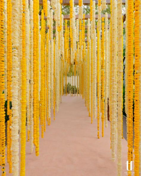 Marigold everywhere, perfect amalgamation of white and orange flowers #pellikodukudecoration #pellikodukudecorationathome #pellikodukudecorationbutta #pellikodukudecorideas #pellikodukufunctiondecorationathome #pellikodukubackgrounddecoration #pellikodukufunctiondecoration #pellikodukuceremonydecoration #pellikodukustagedecoration #pellikodukufunctiondecor #pellikodukudecorathome #pellikodukufunction Marigolds Wedding Decoration, Marigold Indian Wedding, Shaadi Theme, Marigold Mandap, Marigold Flower Decoration, Marigold Wedding Decoration, Marigold Decor, Holi Decor, Haldi Photography