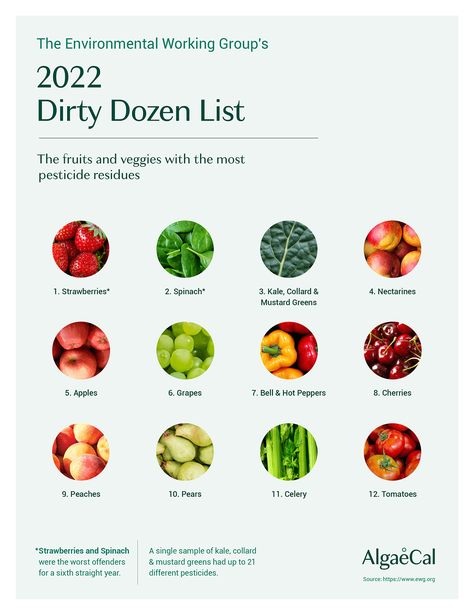 2022 Dirty Dozen and Clean Fifteen Lists - And the Impact on Bone health! The Dirty Dozen, Dirty Dozen, Food Education, Organic Diet, Mustard Greens, Nutrient Dense Food, Food Facts, Easy Vegetarian, Bone Health