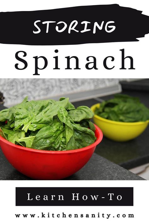 Store Spinach In Fridge, Spinach Storage In Fridge, How To Store Fresh Spinach, Storing Spinach In Fridge, How To Keep Spinach Fresh In Fridge, How To Store Spinach In Fridge, How To Store Spinach, Storing Vegetables, Kitchen Help