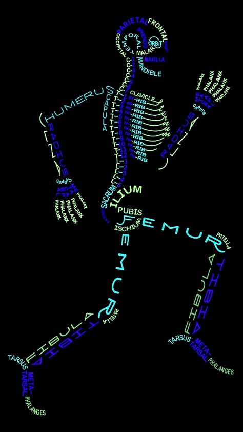 World Physiotherapy Day Posters, Physiotherapy Wallpaper, Hospital Poster, Skeletal Anatomy, Med Wallpaper, Human Skeletal System, Ram Sita Photo, Radiology Student, Anatomy Bones