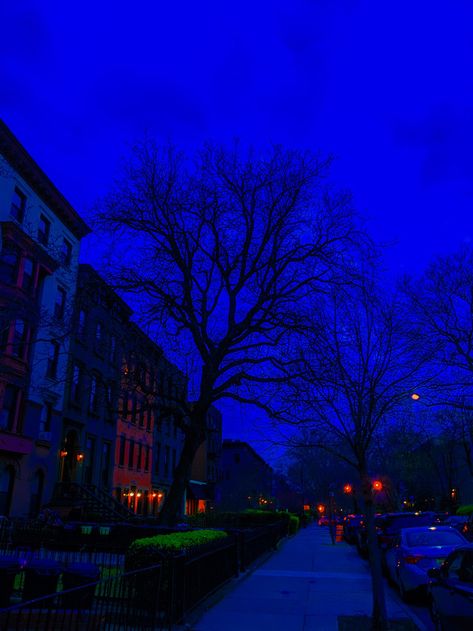 Red And Dark Blue Aesthetic, Adventure Time Crossover, Blue Hour Photography, Light Movie, Foggy Weather, Making Decisions, Scenery Background, Amazing Pics, Blue Hour