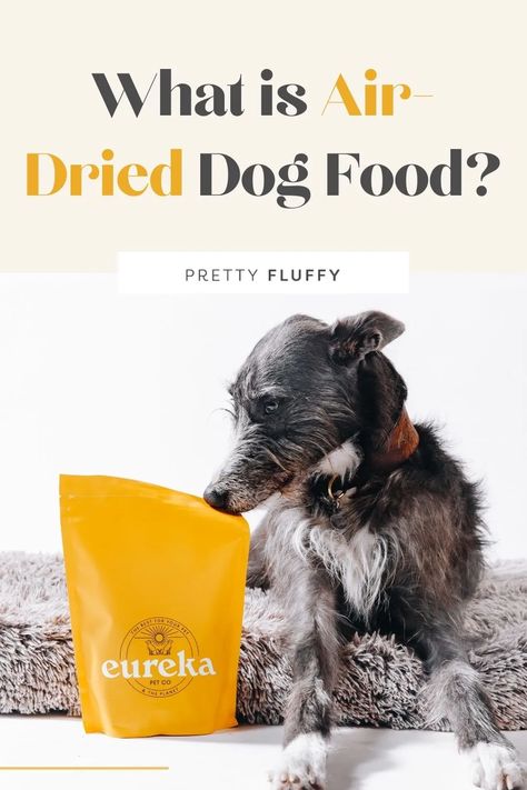 If you're concerned about your dog's diet, consider switching to air dried dog food. Learn all the benefits and how it's made here! #dogfood #airdrieddogfood #healthey dogfood Living With Dogs, Dog Diet, Healthy Choice, Dog Health Care, Food Help, Flea And Tick, Super Healthy, Dry Dog Food, Bed Ideas