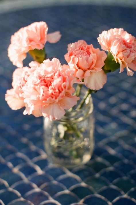 Simple Peach Carnation Centerpiece Peach Carnation, Peach Carnations, Carnation Centerpieces, Carnation Wedding, Budget Wedding Flowers, Inexpensive Wedding Flowers, Wedding Motifs, Most Popular Flowers, Popular Flowers