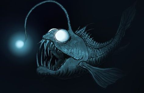 Angler Fish Light, Angler Fish Tattoo, Concept Artist Portfolio, Lamp Tattoo, Sea Creatures Art, Fish Lamp, Deep Sea Creatures, Halloween Flyer, Weird Fish