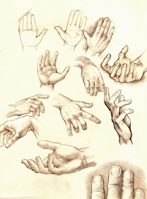 Pencil study of hands, with the booklet of Giovanni Civardi Anatomy Study, Digital Tablet, Hand Sketch, Happy Pills, True Art, Beige Aesthetic, Anatomy Art, Human Anatomy, Drawing People