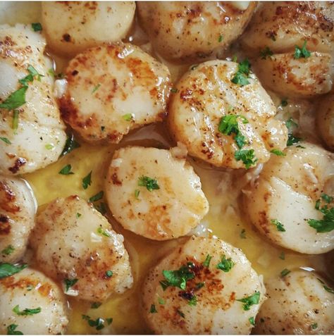 Lemon Butter Scallops! Absolutely love this recipe. Easy cooking, quick, delicious, Lemon Butter Scallops, Butter Scallops, Sea Scallops, Shellfish Recipes, Lemon Butter Sauce, Lemon Butter, Easy Cooking, Paleo Gluten Free, No Cook Meals