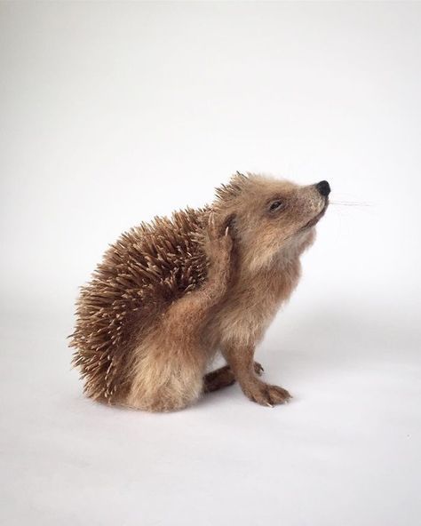 A Selection Of My Needle Felted Sculptures, Celebrating British Wildlife Felted Hedgehog, Needle Felted Fox, Needle Felting Tutorial, Wool Animals, Needle Felting Tutorials, Felt Bunny, British Wildlife, Needle Felting Kits, Needle Felting Projects