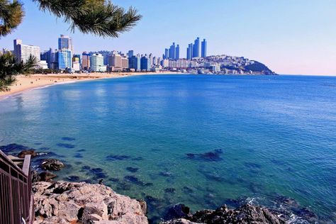 Haeundae Beach from Dongbaek Island Park ▶http://bit.ly/1nRohSk  Photo by Maria Lilia Grindle Haeundae Beach, Busan South Korea, Island Park, Park Photos, Travel South, Seoul Korea, Busan, South Korea, Seoul