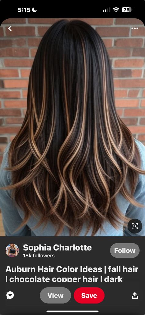 Brown Hair Chunky Blonde Highlights, Black Hair With Brown Highlights, Hairstyle Highlights, Golden Hair Color, Chunky Blonde Highlights, Summer Hair Color Ideas, Highlights For Dark Brown Hair, Red Blonde, Red Blonde Hair