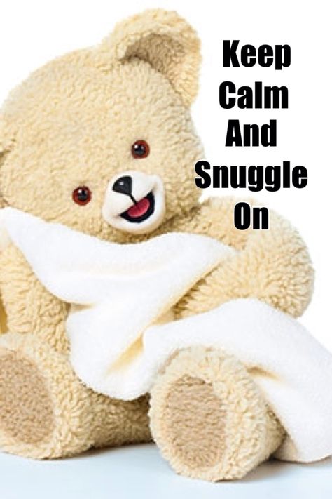 Snuggle Bear Snuggle Bear, Always And Forever, Big Kid, Childhood Memories, Big Kids, Teddy Bear, Toys, Animals