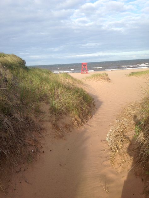 Panmure Island Beach, PEI Pei Canada, Beach Dunes, Canvas Inspiration, East Coast Beaches, Prince Edward Island Canada, Diverse Beauty, Beautiful Canada, Canadian Travel, Eastern Canada