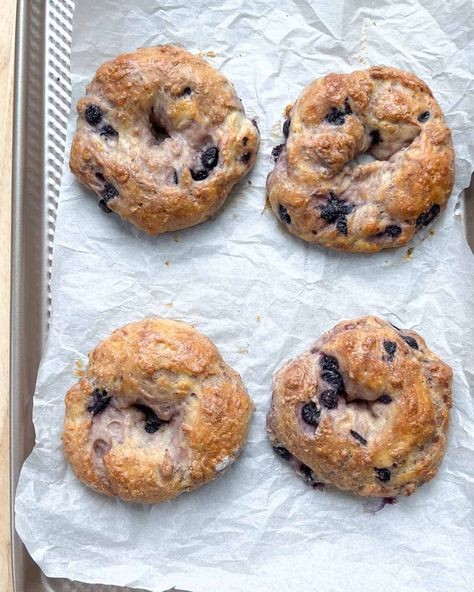 You can easily make these high-protein blueberry bagels with just three ingredients, and It is so much easier than you even think. Protein Bagels, Blueberry Bagels, Protein Blueberry, Stand Mixer Recipes, Blueberry Bagel, Easy Breakfast Options, Low Carb Bagels, Mixer Recipes, Cottage Cheese Pancakes