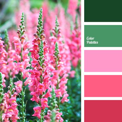 color matching, color palette for spring, color solution for design, dark green color, green color, green shades, lime color, pink color Flower Palette, In Color Balance, Pink Paint Colors, Color Palette Ideas, Wall Living Room, Paint Inspiration, Pink Color Schemes, Color Schemes Colour Palettes, Warm Palette