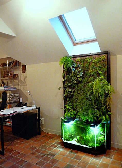 Aquaponics Diy, Indoor Water Garden, Aquarium Terrarium, Aquascape Aquarium, Aquaponics System, Aquarium Design, Vivarium, Hydroponic Gardening, Aquascaping