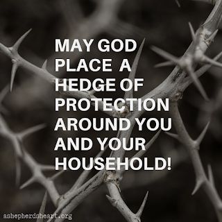 Gods Protection, Protection Quotes, Hedge Of Protection, The Book Of Job, Book Of Job, Prayer For Protection, Prayer For You, Prayer Scriptures, Bible Verses Quotes Inspirational