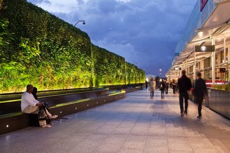 Growing Up: Specifying Living Walls for Every Architectural Typology - Architizer Journal Vertical Green Wall, Landscape Lighting Design, Green Facade, Green Roofs, Living Walls, Vertical Gardening, Facade Lighting, Urban Lighting, Vertical Gardens