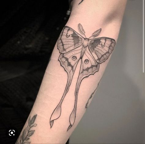 Ladybug Tattoo Ideas, Ladybird Tattoo, Moth Tattoo Ideas, Moth Tattoo Meaning, Lunar Moth Tattoo, Luna Moth Tattoo, Ladybug Tattoo, Moth Tattoo Design, Basic Tattoos