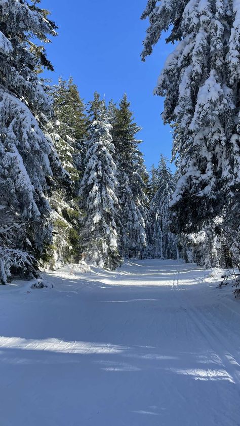 Alaska Aesthetic Winter, Antartica Aesthetic, Chalet Aesthetic, Skiing Aesthetic, Ski Aesthetic, Zermatt Switzerland, Iphone Wallpaper Landscape, Snow Forest, Christmas Scenery